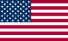 Hot tub filters USA flag